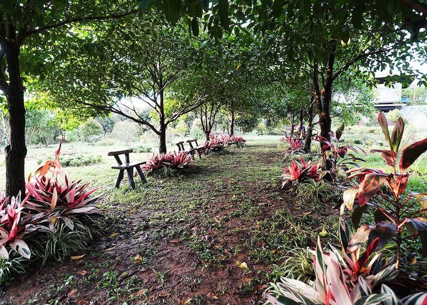 Loei Phu Ruea Garden