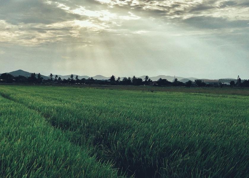 Suphan Buri U Thong Exterior Detail
