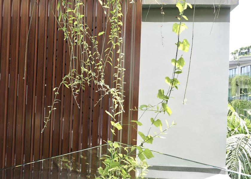 Phuket Wichit View From Room