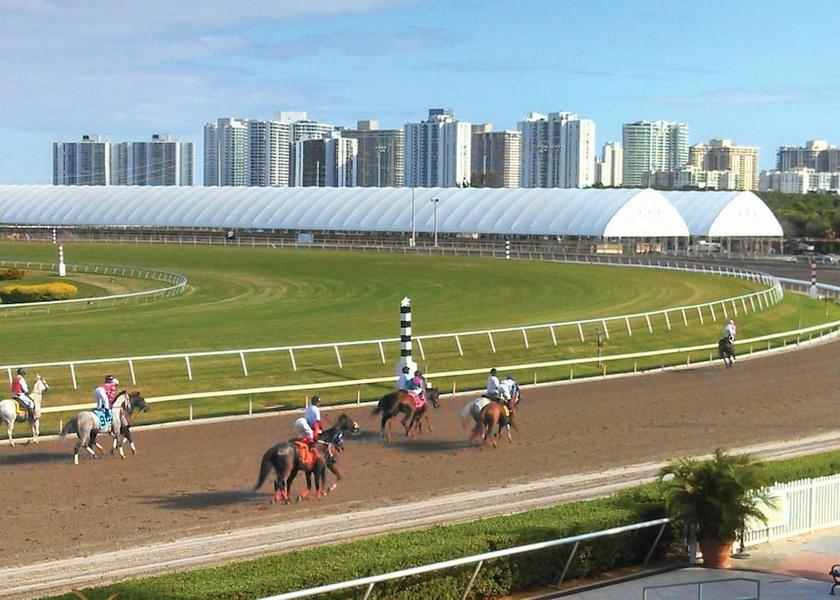 Florida Hallandale Beach Sport Court