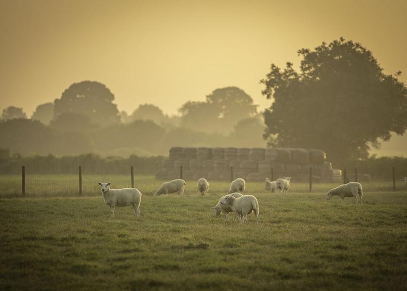 England Bradford-on-Avon Property Grounds