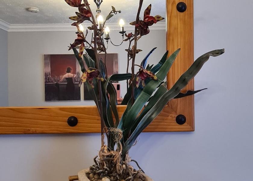 Northern Ireland Craigavon Interior Entrance