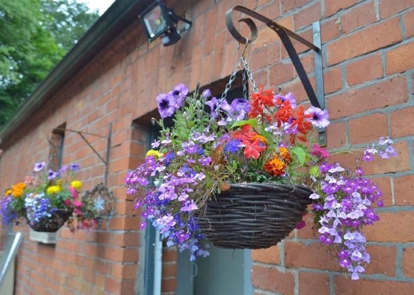 Northern Ireland Craigavon Exterior Detail