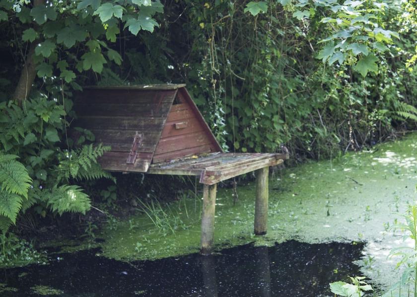 Wales Llandysul Property Grounds