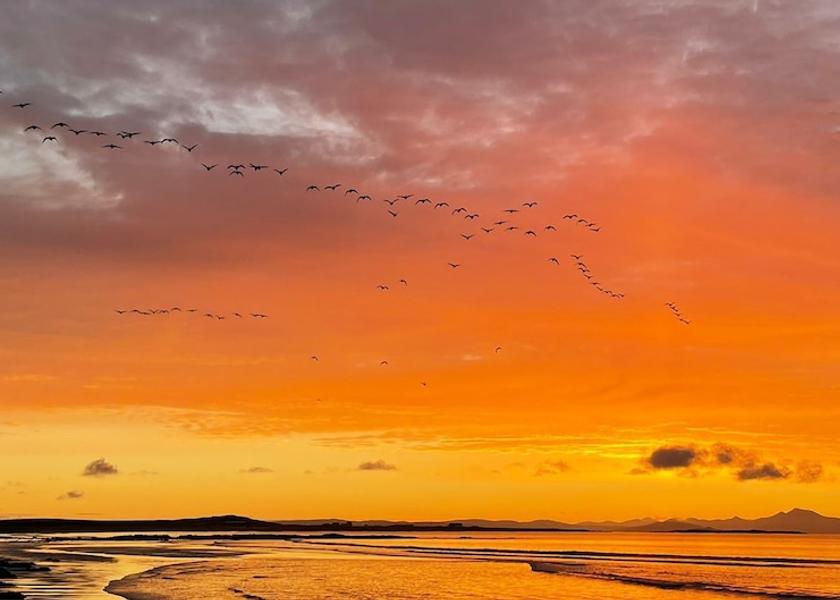 Scotland Tiree Island Beach