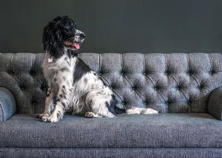 England Wells-next-the-Sea Pet-Friendly