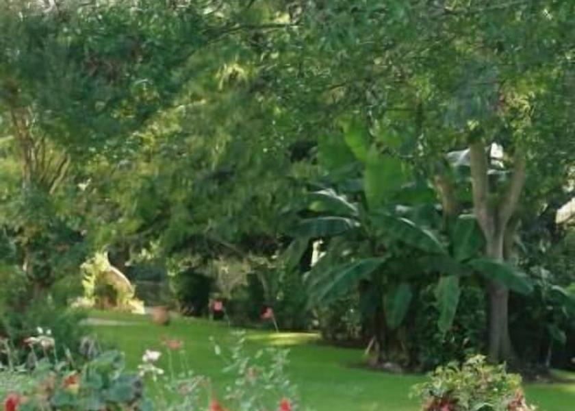 Nouvelle-Aquitaine Ainhoa Property Grounds