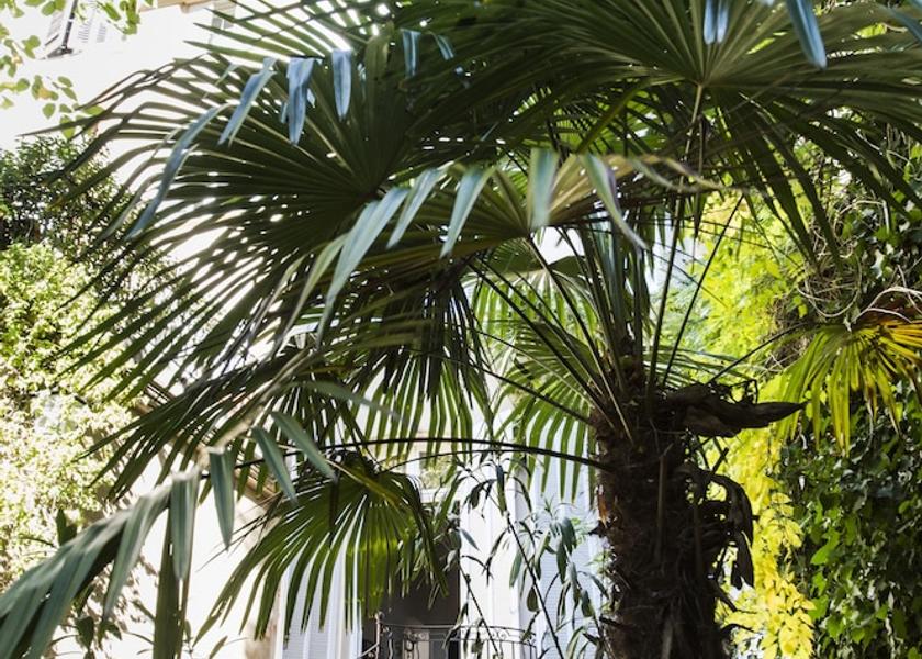 Provence - Alpes - Cote d'Azur Aix-en-Provence Garden