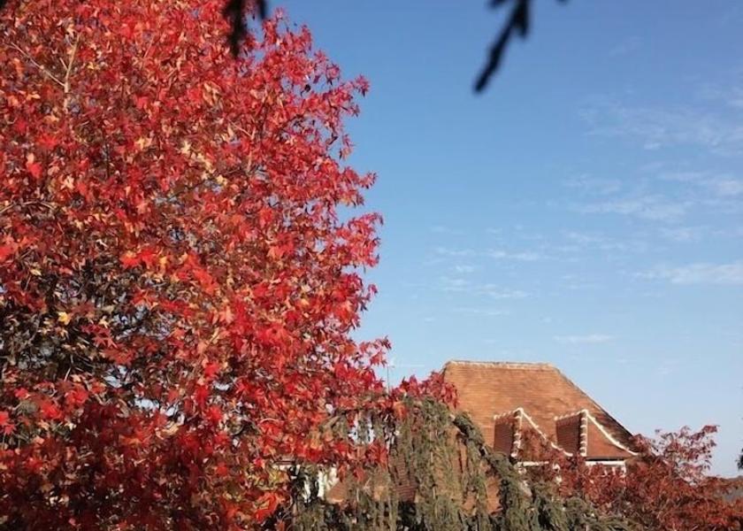 Nouvelle-Aquitaine Boulazac-Isle-Manoire Exterior Detail
