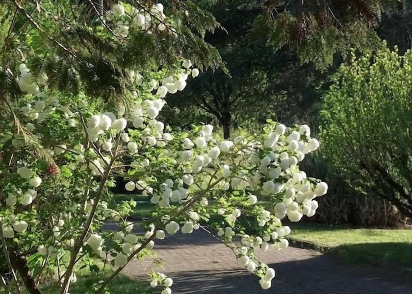 Nouvelle-Aquitaine Boulazac-Isle-Manoire Exterior Detail