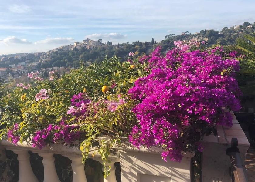 Provence-Alpes-Côte d'Azur Cagnes-sur-Mer Garden