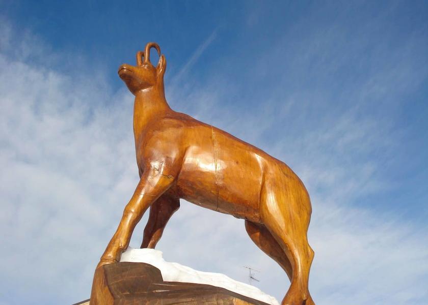 Auvergne-Rhone-Alpes Fontcouverte-la-Toussuire Exterior Detail