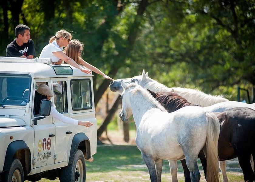 Occitanie Le Grau-Du-Roi Exterior Detail