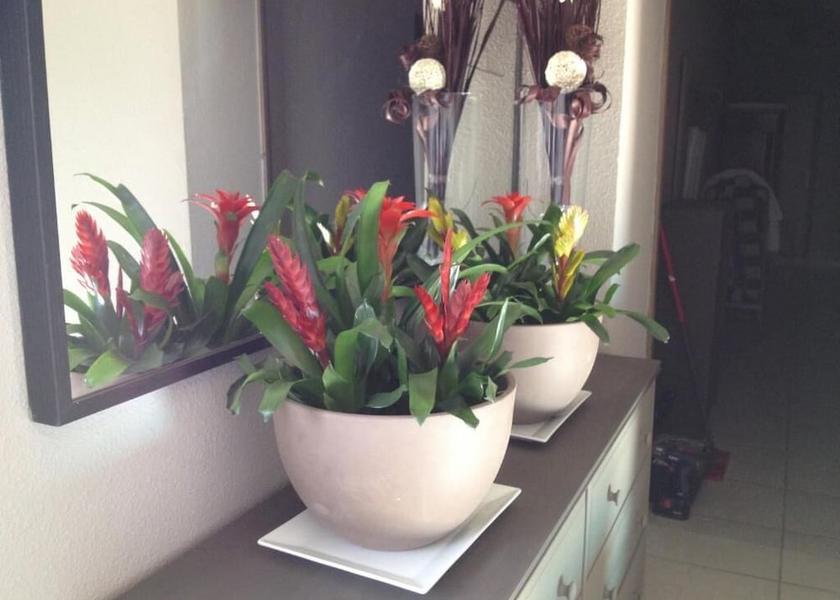 Provence - Alpes - Cote d'Azur Maussane-les-Alpilles Interior Entrance