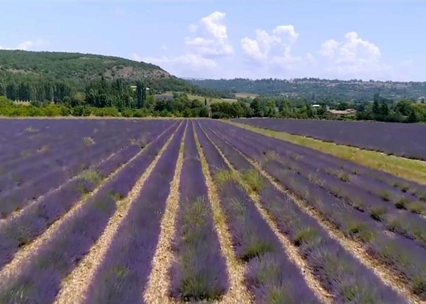 Provence - Alpes - Cote d'Azur Sault Hiking