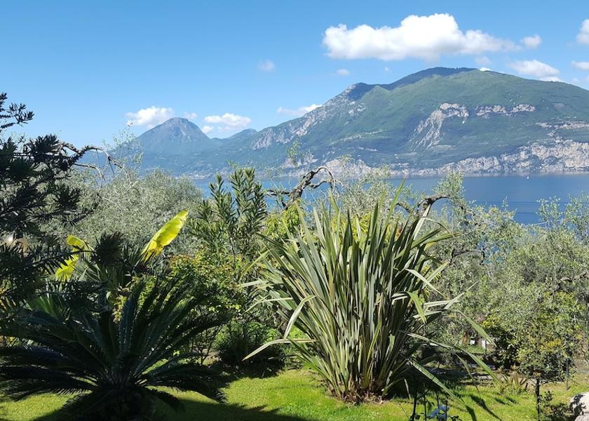 Veneto Brenzone sul Garda View from Property