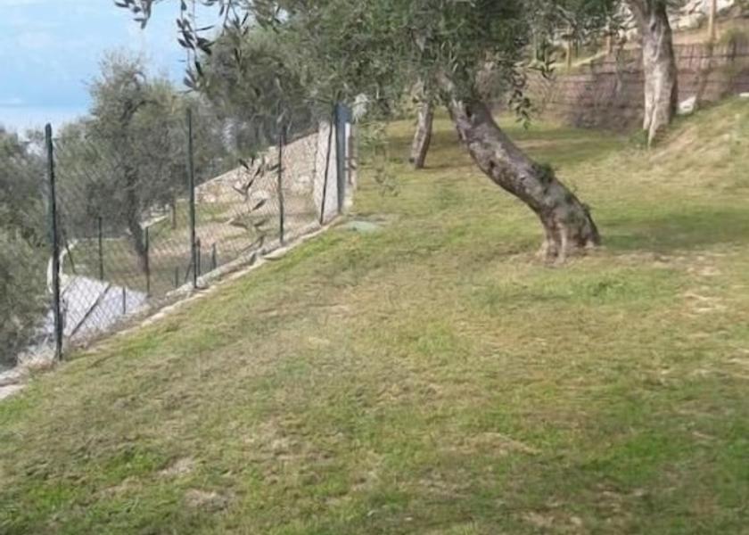 Veneto Brenzone sul Garda Garden