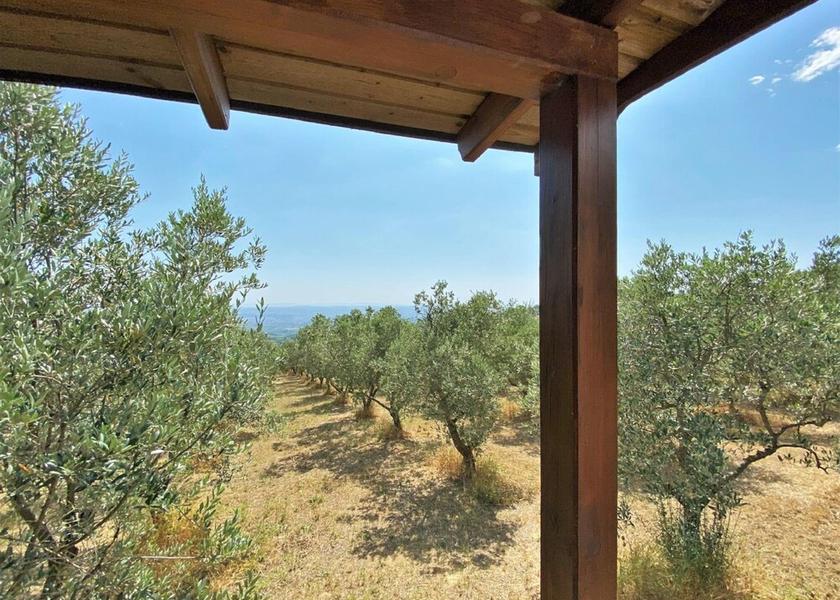 Tuscany Capraia e Limite Exterior Detail