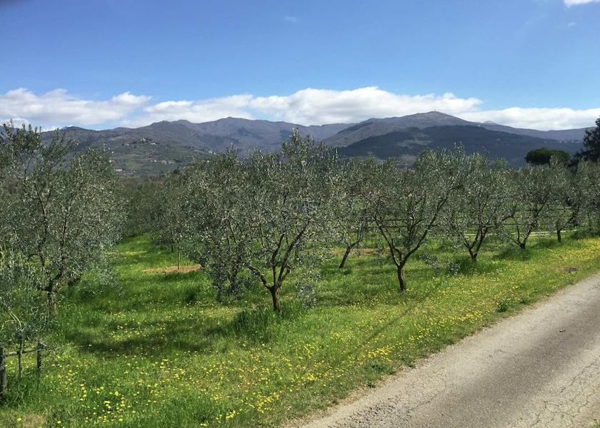 Tuscany Castelfranco Piandisco View from Property
