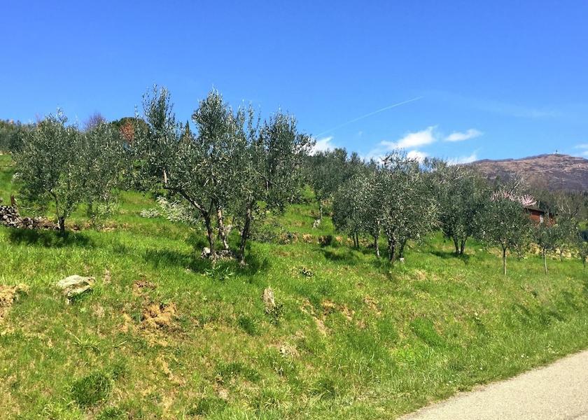 Tuscany Castelfranco Piandisco View from Property
