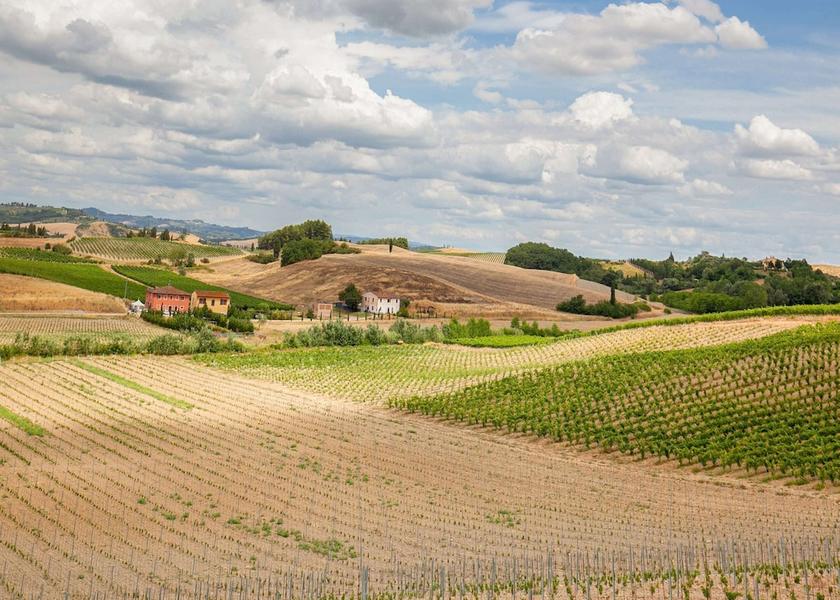 Tuscany Gambassi Terme View from Property