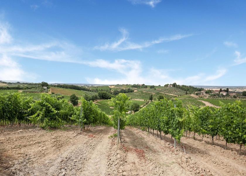 Tuscany Gambassi Terme View from Property