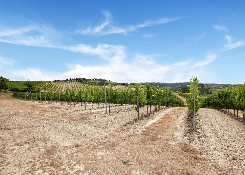 Tuscany Gambassi Terme View from Property