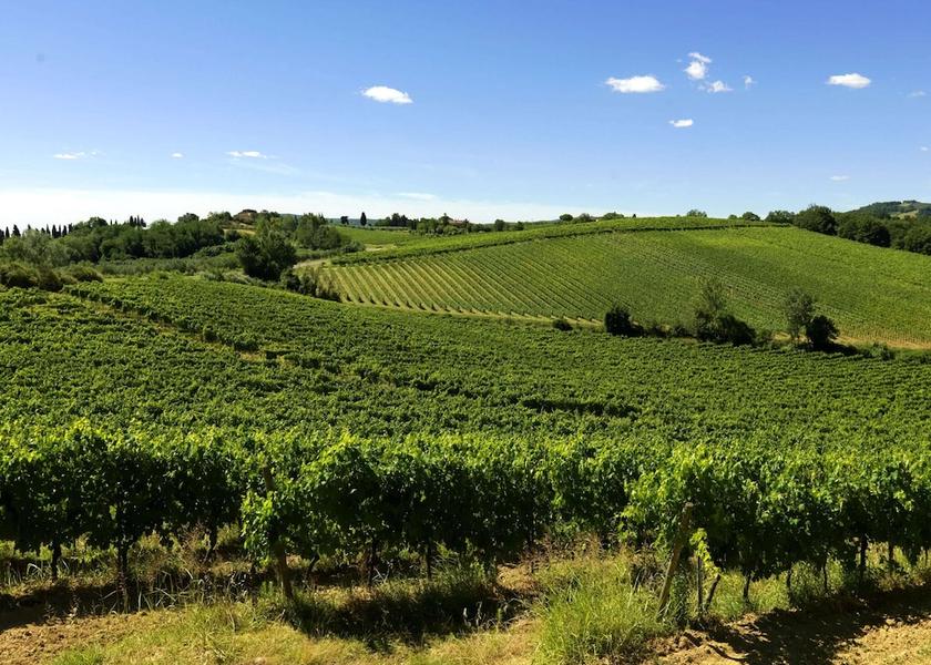 Tuscany Gambassi Terme View from Property