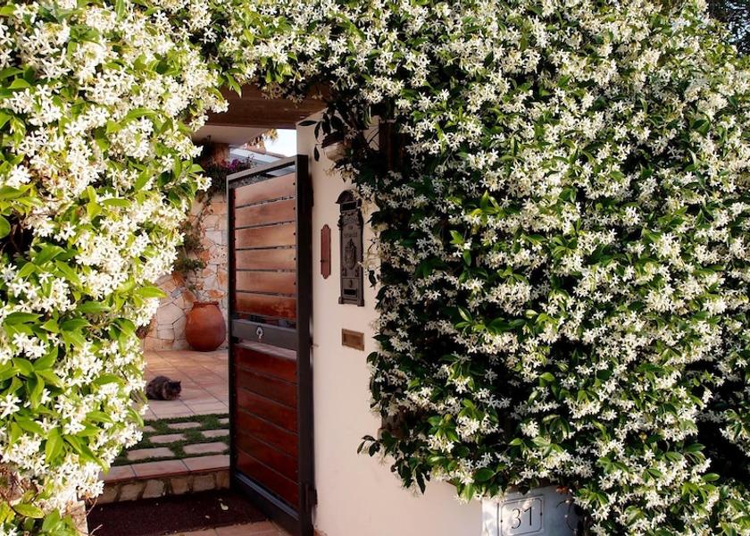 Puglia Lizzanello Exterior Detail