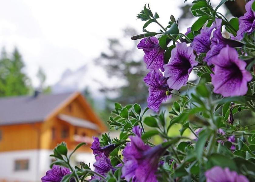 Trentino-Alto Adige Marebbe Property Grounds