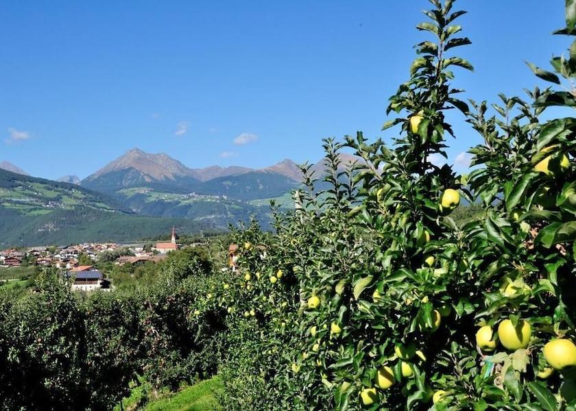 Trentino-Alto Adige Naz Sciaves Property Grounds