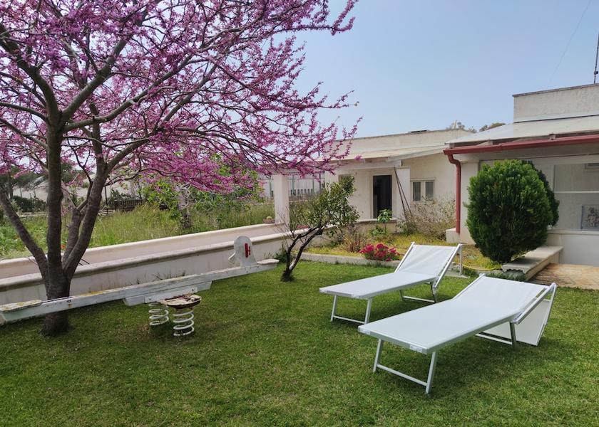 Puglia Patu Primary image