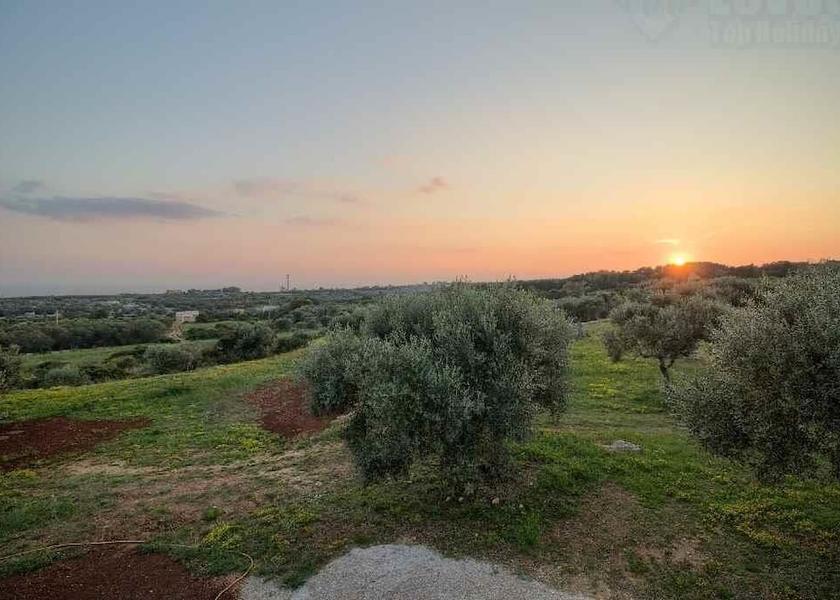 Puglia Patu Property Grounds