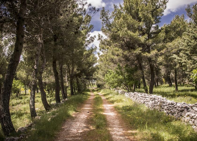 Puglia San Giovanni Rotondo Property Grounds