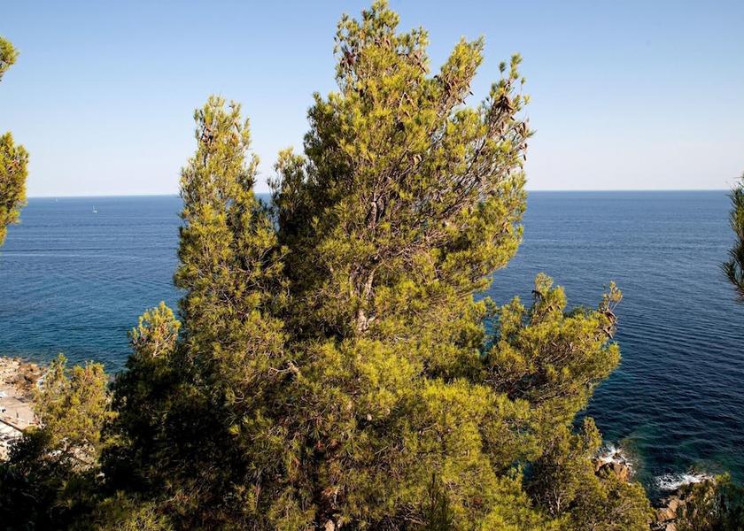 Liguria Sanremo Room