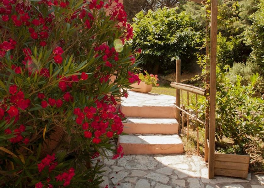 Var Puget-sur-Argens Exterior Detail