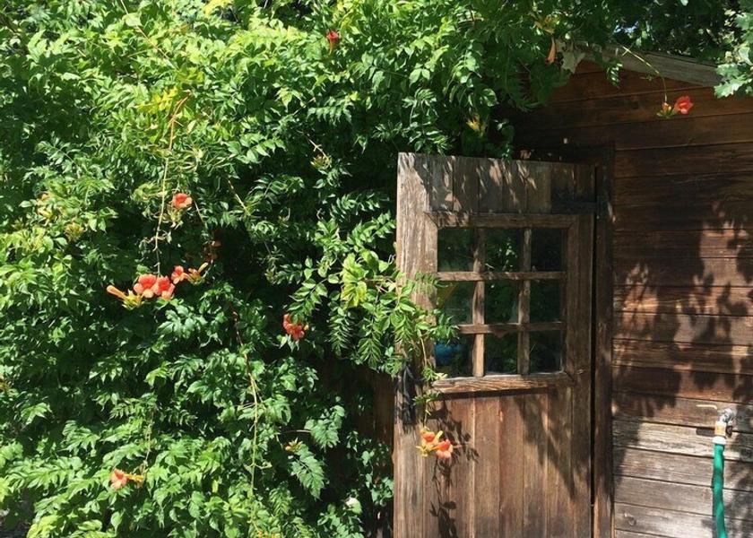 Auvergne-Rhône-Alpes Rillieux-la-Pape Garden