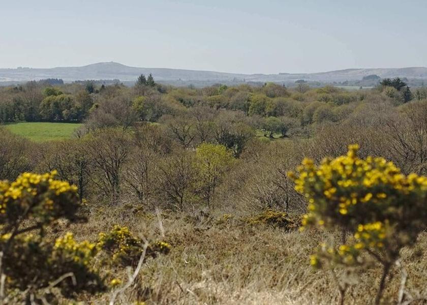 Land View from Property
