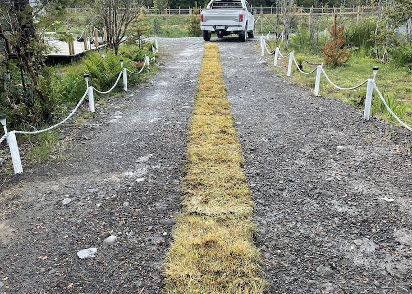Los Lagos (region) Puerto Varas Exterior Detail