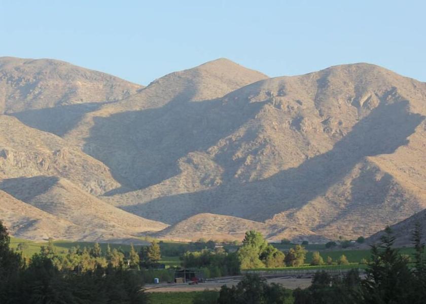 Coquimbo Region Vicuña View From Room