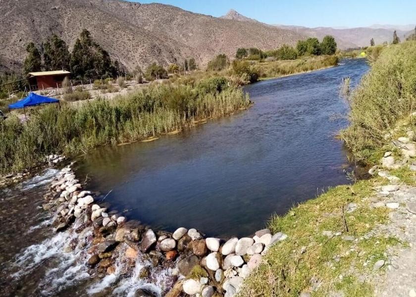 Coquimbo Region Vicuña Exterior Detail