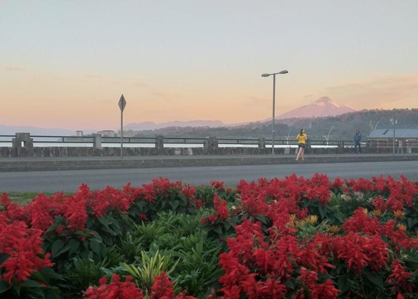 Araucania (region) Villarrica Exterior Detail