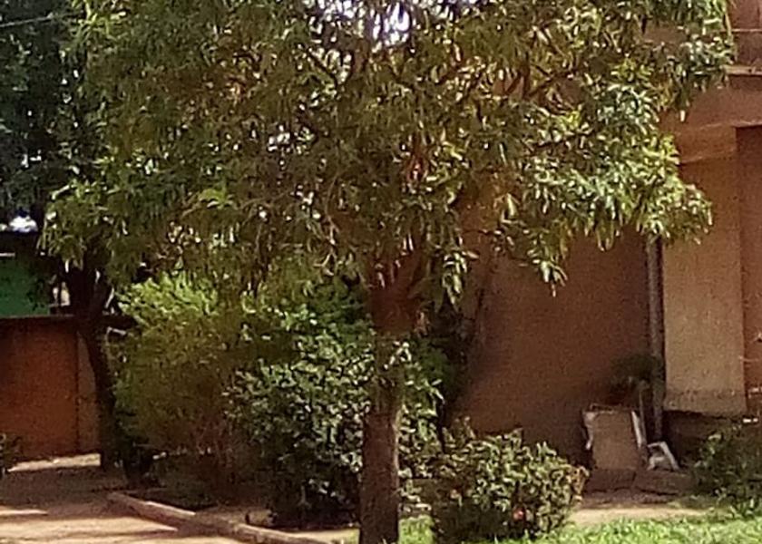  Ouagadougou Exterior Detail