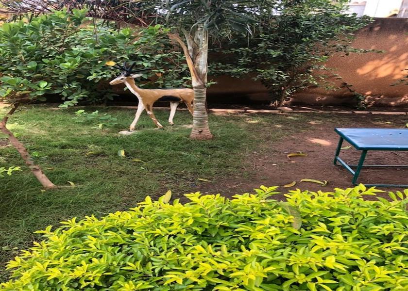  Ouagadougou Garden