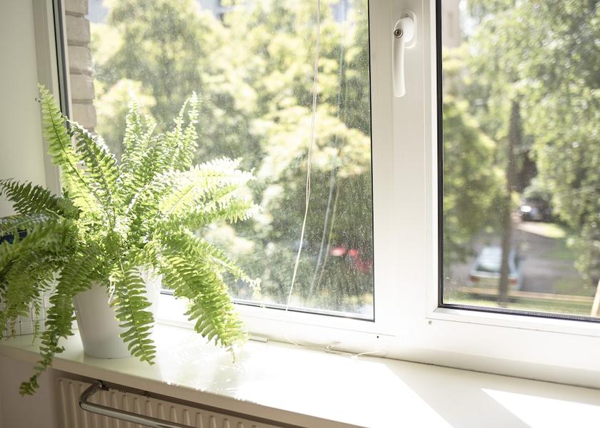 Tartu County Tartu View from Property