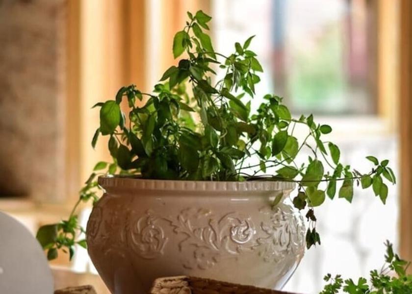 Kolašin Municipality Kolašin Interior Entrance