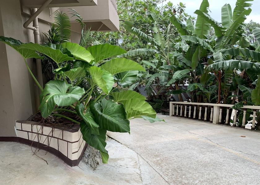  Pohnpei Property Grounds