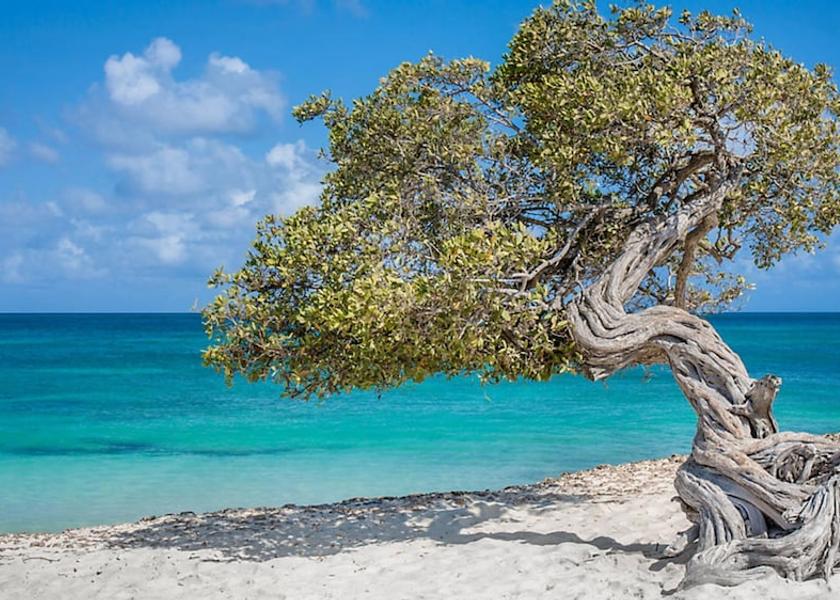  Oranjestad Beach
