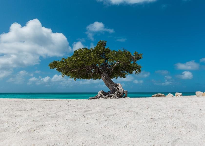  Noord Beach
