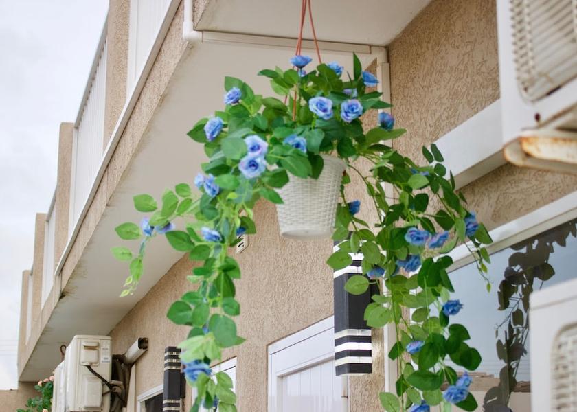  Noord Exterior Detail